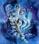 mes images