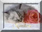 mimilou